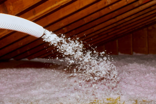 Types of Insulation We Offer in Canyon Lake, CA