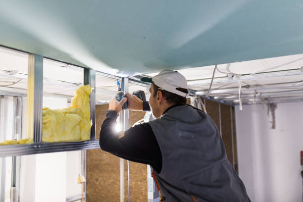 Best Commercial Insulation in Nyon Lake, CA