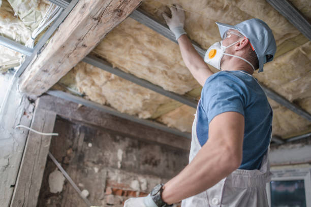 Best Insulation for Specific Applications in Nyon Lake, CA
